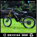 Various style newest sale electric bicycle in spoke
